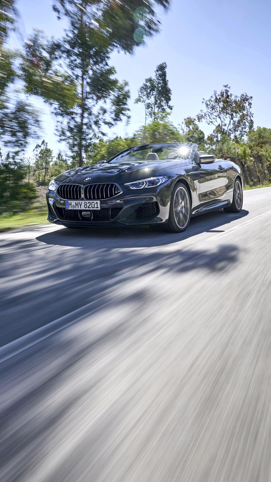  BMW M850i xDrive Convertible (G14) 2018 года  (WW) (фото 89 из 183)